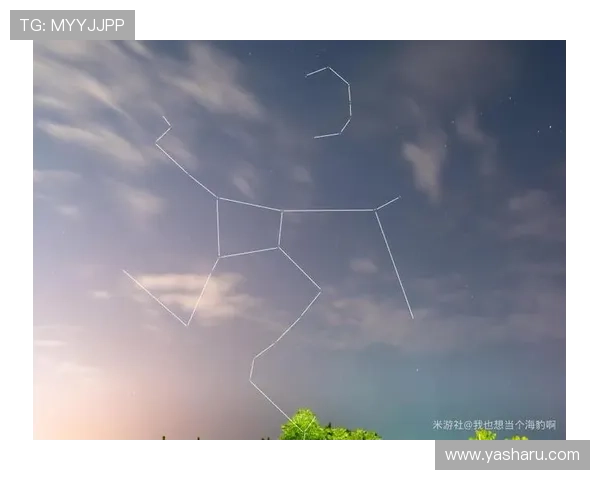 星空电子入口操作指南,帮助用户轻松掌握使用技巧与流程