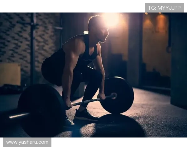 乐动全体育app:多场景、多运动项目全面覆盖助你实现健身目标