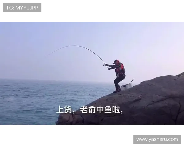 博鱼综合app：用户评价与口碑分析助你选择放心娱乐应用