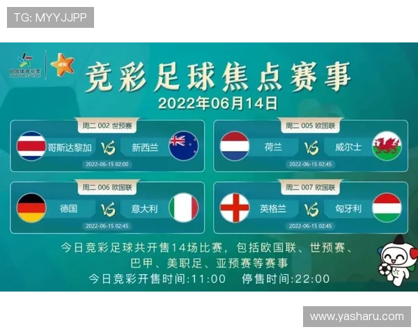 世界杯新西兰对阵埃及比赛购票渠道详解及最新购票指南